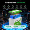 KeepKnow 12V 100Ah Mini (Group 24) LiFePO4 Lithium Battery